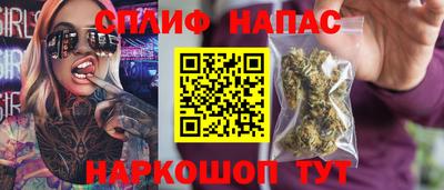 сатива Будённовск